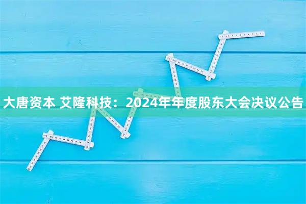 大唐资本 艾隆科技：2024年年度股东大会决议公告