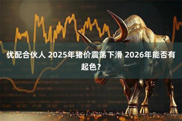 优配合伙人 2025年猪价震荡下滑 2026年能否有起色？