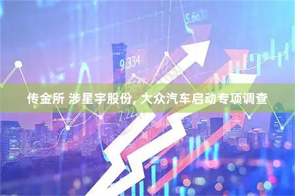 传金所 涉星宇股份, 大众汽车启动专项调查